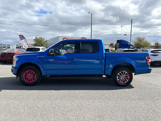 2019 Ford F-150 in Cars & Trucks in Ottawa - Image 2