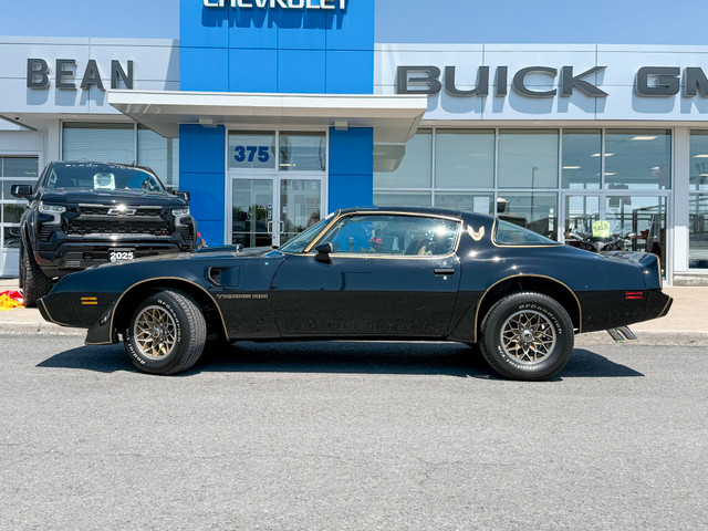 1981 Pontiac FIREBIRD TRANS AM T-TOPS AUTO 1981 PONTIAC FIREB... in Cars & Trucks in Ottawa - Image 3