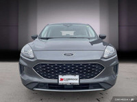 *2022 Ford Escape SE -- Efficient, Comfortable, and Technology-Forward* The *2022 Ford Escape SE* is... (image 7)