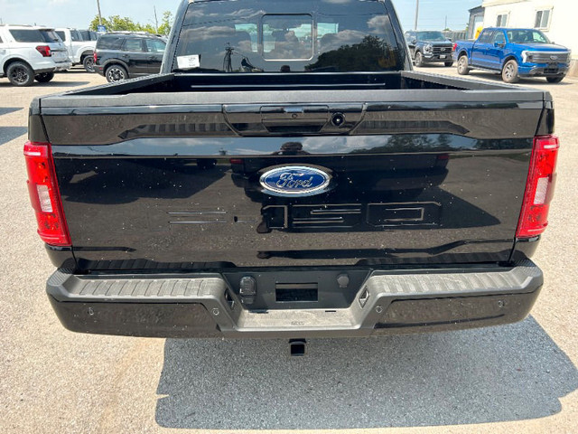  2023 Ford F-150 XLT *302A Sport, 5.0L, Tailgate Step, 20's* in Cars & Trucks in Kawartha Lakes - Image 4