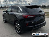 GMM Auto Sales Limited 2024 Ford Escape Platinum Low Mileage | AWD | Fully Loaded This 2024 Ford Esc... (image 4)