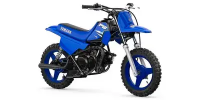Engine Type: Single-Cylinder Displacement: 3 cu. in. (49 cc) Bore and Stroke: Bore: 1.58 in. (40 mm)...
