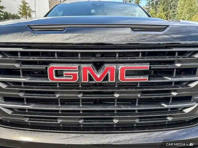 2025 GMC Sierra 1500 Pro in Cars & Trucks in Cowichan Valley / Duncan - Image 14