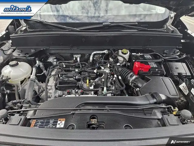 2023 Ford Bronco Sport 4X4 | CarPlay + Android | Rear Camera in Cars & Trucks in Guelph - Image 10