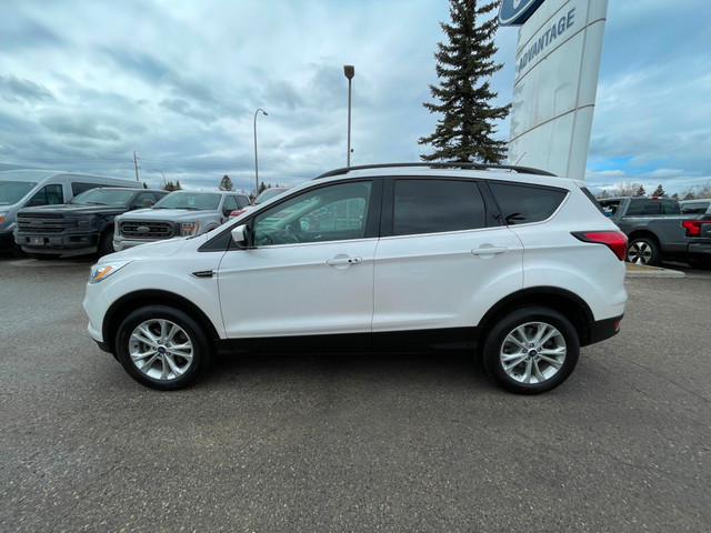 2019 Ford Escape SEL Remote Start, Power Liftgate, Intelligen... in Cars & Trucks in Calgary - Image 2
