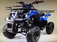 2023 BRAND NEW TAO MOTOR 125D ATV / 125 cc KIDS
