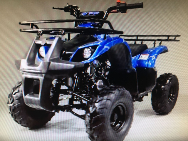 2023 BRAND NEW TAO MOTOR 125D ATV / 125 cc KIDS in ATVs in Brandon - Image 2