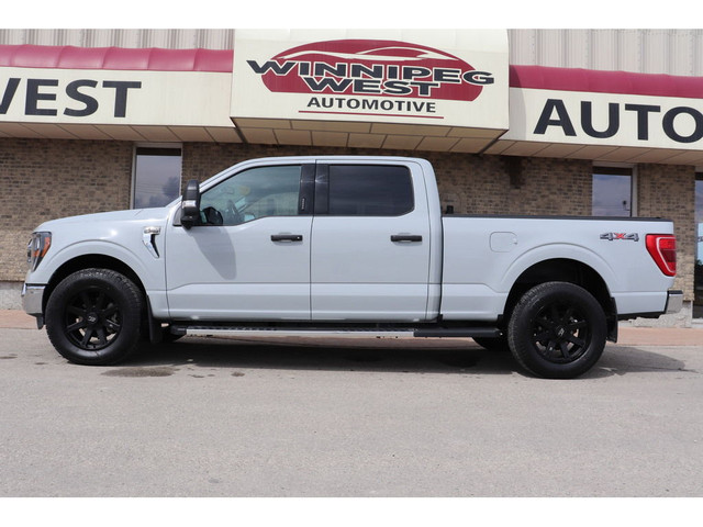 2023 Ford F-150 XLT PREM 3.5L ECO-BOOST 4X4, LOADED/BUCKETS, CLE in Cars & Trucks in Winnipeg - Image 2