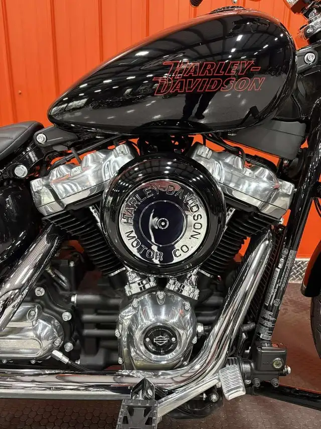 2024 Harley-Davidson Softail Standard in Street, Cruisers & Choppers in Moncton - Image 4