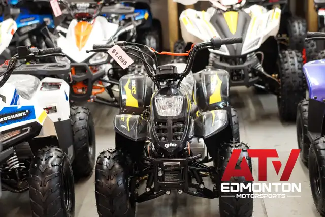 2024 Gio Blazer 110P Premium model/Gas quad for kids/Remote cont in ATVs in Edmonton - Image 6