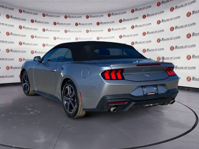 2024 Ford Mustang EcoBoost Convertible in Cars & Trucks in Calgary - Image 4