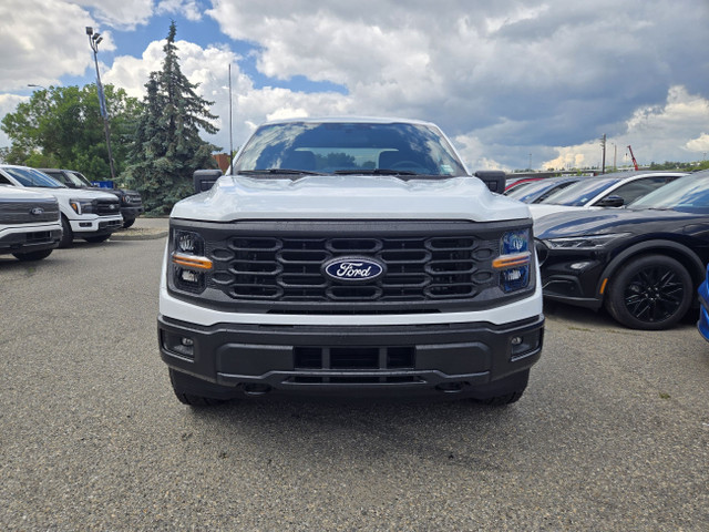 2025 Ford F-150 STX | REAR VIEW CAM | TRAILER HITCH | BLIS in Cars & Trucks in Calgary - Image 3
