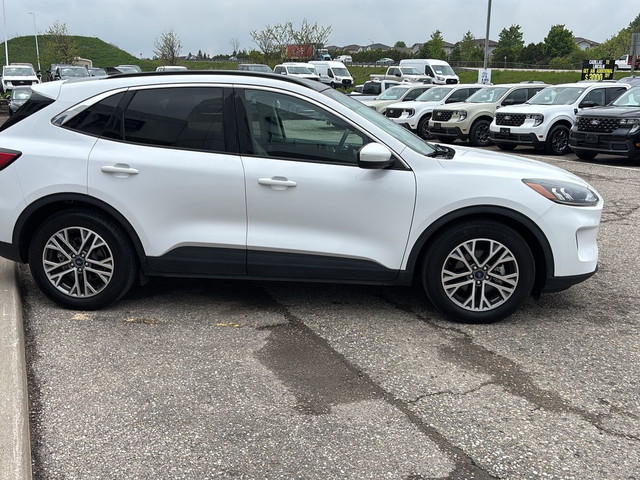 2021 Ford Escape SEL Hybrid LOADED, LOCAL TRADE, LEATHER, MOONRO in Cars & Trucks in Stratford - Image 4