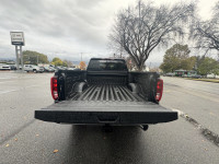Our Diesel driven 2025 GMC Sierra 3500 SLE Crew Cab 4X4 digs into difficult days with dynamic capabi... (image 6)