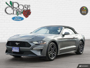 2023 Ford Mustang Ecoboost Premium Convertible | Heated and Cooled Leather Seats