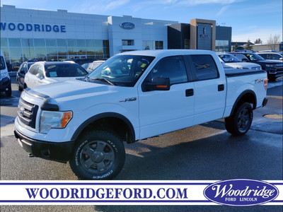 2010 Ford F-150 FX4 *PRICE REDUCED* FULLY RECONDITIONED FOR S...