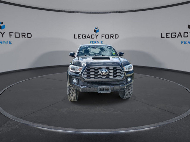 2019 Ford F-250 Super Duty XLT, Regular Cab, Long Box Diesel in Cars & Trucks in Cranbrook - Image 3