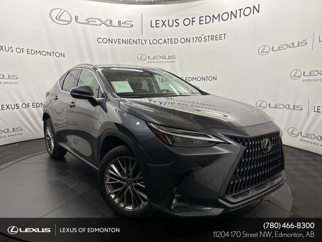 2023 Lexus NX 350 LUXURY PACKAGE in Cars & Trucks in Edmonton