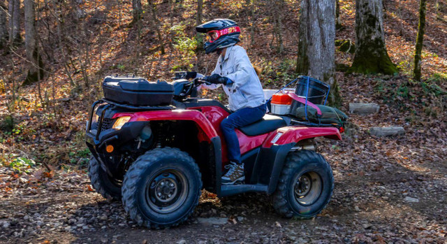 2025 Honda Rancher TRX420 Black Forest Green in ATVs in Peterborough - Image 3