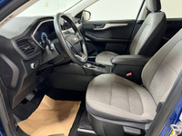 1.5L EcoBoost Body-color rear spoiler Cloth front bucket seats 6-way manual driver seat 4-way manual... (image 8)