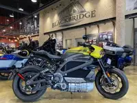 2020 Harley-Davidson® LiveWire™ Yellow Fuse