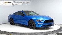 2021 Ford Mustang EcoBoost - Low Mileage
