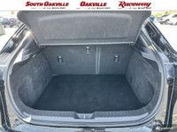 Apple Carplay / Android Auto, Clean Accident History Report, Alloy wheels, Exterior Parking Camera R... (image 8)