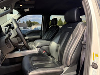 WAS: $87879 NOW: $79998 plus taxes and licensing feesConquer Any Terrain with the 2020 Ford Super Du... (image 3)