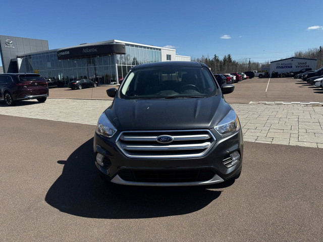 2019 Ford Escape SE in Cars & Trucks in Moncton - Image 3
