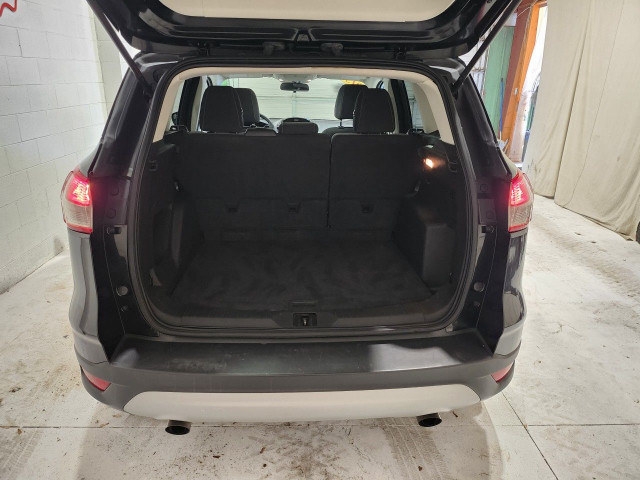 2015 Ford Escape in Cars & Trucks in Windsor Region - Image 4