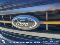 Antimatter Blue Metallic 2023 Ford F-150 Tremor 4WD 10-Speed Automatic 3.5L V6 EcoBoost4WD, 4-Wheel... (image 8)