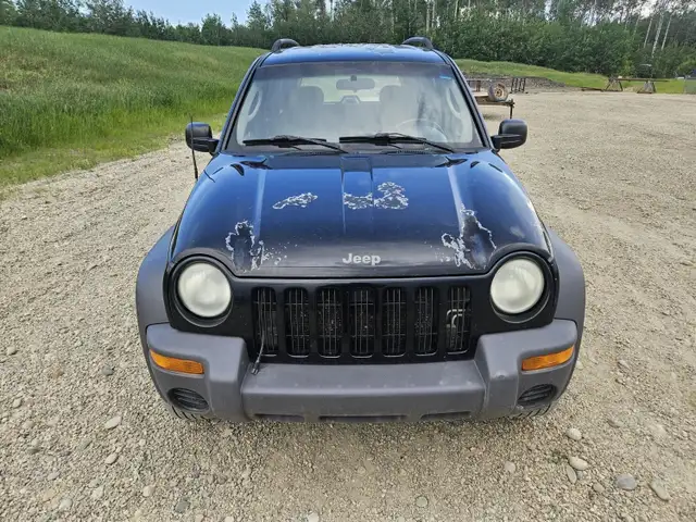 2002 Jeep Liberty in Cars & Trucks in Edmonton - Image 9
