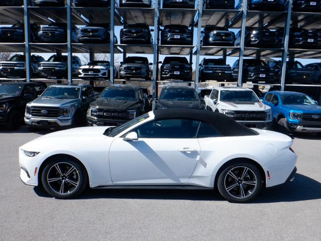  2024 Ford Mustang EcoBoost Convertible in Cars & Trucks in Oshawa / Durham Region - Image 2