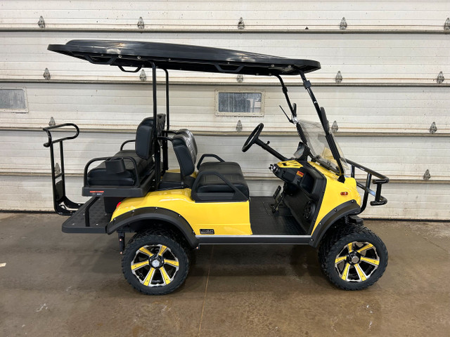 2024 HDK Forester 4 Plus Golf Cart in ATVs in Moose Jaw - Image 2