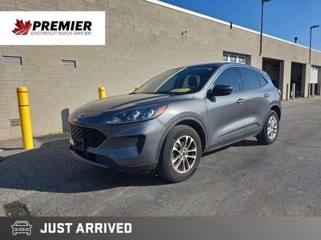 2022 Ford Escape SE in Cars & Trucks in Windsor Region
