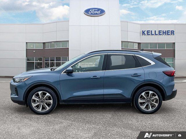 2024 Ford Escape Platinum in Cars & Trucks in Brandon - Image 2