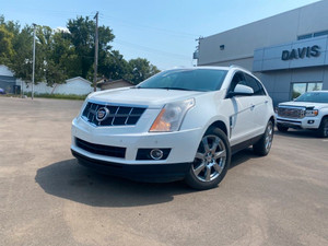 2010 Cadillac SRX Luxury and Performance Collection