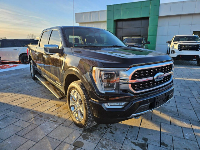 2021 Ford F-150 dans Autos et camions  à Ottawa - Image 4