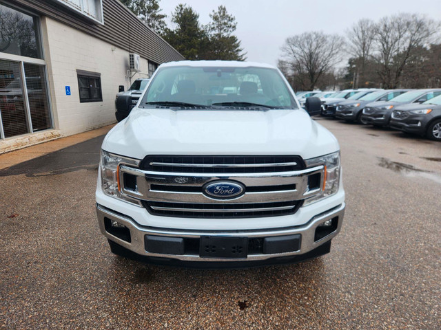 2019 Ford F-150 XL Clean Carfax, 4x2, 8 foot box, Call Now! in Cars & Trucks in Annapolis Valley - Image 3