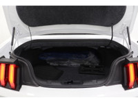 +Apple Carplay +Android Auto +Bluetooth +Caméra de recul / Backup camera +Régulateur de vitesse / Cr... (image 8)
