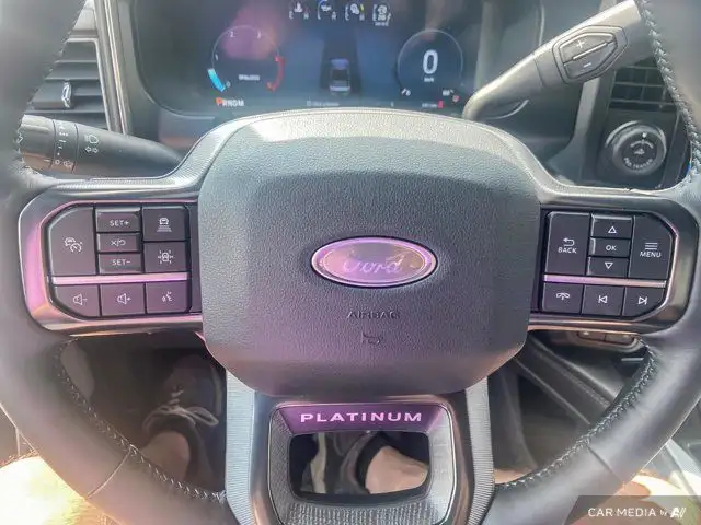 2025 Ford Super Duty F-350 SRW Platinum in Cars & Trucks in Brandon - Image 22