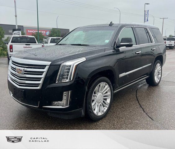 2017 Cadillac Escalade Platinum 4WD in Cars & Trucks in Regina