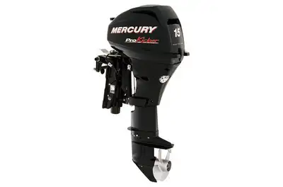 Loonie Toons Pontoons and Powersports is the area's newest Legend Boat and Mercury Marine Dealer. We...