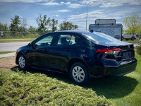 Stock#: 250405AThe 2023 Toyota Corolla LE 4dr Sedan LE Grade for the Canadian market offers a blend... (image 3)