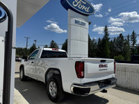 4WD Reg Cab 140" Pro Engine: 5.3L ECOTEC3 V8 (image 4)