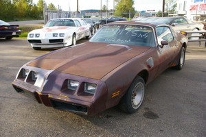 1981 Pontiac Trans Am Turbo WS6