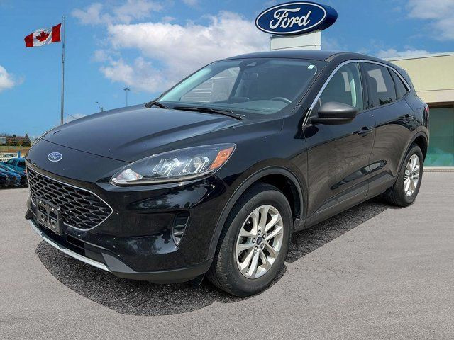 2022 Ford Escape SE in Cars & Trucks in Kitchener / Waterloo - Image 2
