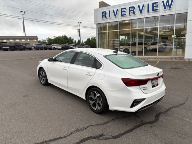 2019 Kia Forte in Cars & Trucks in Fredericton - Image 3
