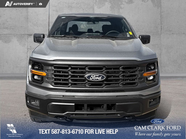 2025 Ford F-150 STX in Cars & Trucks in Red Deer - Image 2