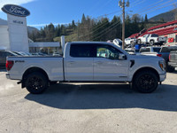 Skid Plates, Pro Power Onboard - 7.2KW, Platinum Black Leather Bucket, Wheel Well Liner, Bedliner Sp... (image 1)